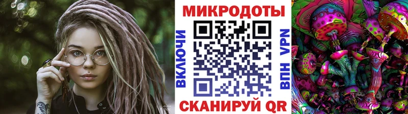 omg как войти  Белоусово  Галлюциногенные грибы Psilocybine cubensis 